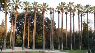 "Το Μουσείο στον Εθνικό Κήπο" γιορτάζει 10 χρόνια με δύο καλοκαιρινά προγράμματα