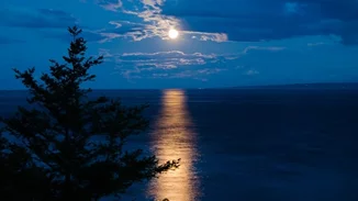 Η αληθινή ιστορία πίσω από τον βρικόλακα της Μυκόνου