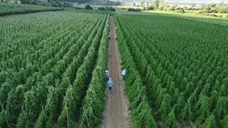 Από το χωράφι στην κουζίνα | Η βιωσιμότητα στο πιάτο μας - Η τάση που αλλάζει τον τρόπο που τρώμε