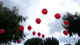 Καλλιτέχνες, παρουσιαστές, δημοσιογράφοι: Οι γνωστοί Έλληνες που έδωσαν το "παρών" στη μεγάλη πορεία για τα Τέμπη