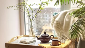 Έχεις απελπιστεί με την υγρασία στο σπίτι; Αυτά είναι τα φυτά που την καταπολεμούν