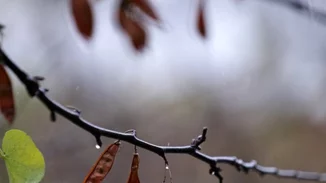 Αίθριος καιρός σήμερα με μικρή πτώση θερμοκρασία - Πού θα σημειωθούν τοπικές βροχές