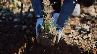 Η διαβίωση κοντά σε χώρους πρασίνου συνδέεται με λιγότερα συναισθηματικά προβλήματα σε παιδιά προσχολικής ηλικίας