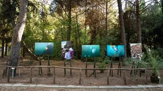 10 εκθέσεις που θα μας απαλλάξουν από τον καύσωνα