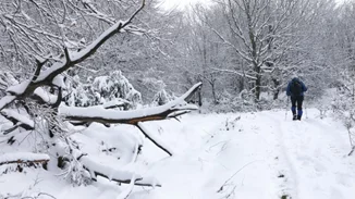 Καιρός | Έρχεται πολική κακοκαιρία με τσουχτερό κρύο και πτώση της θερμοκρασίας - Ποιες περιοχές θα ντυθούν στα λευκά