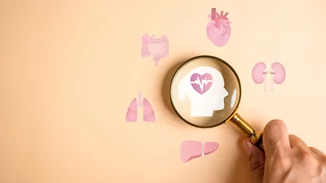 Κι όμως, η υγεία της καρδιάς επηρεάζει και την υγεία του εγκεφάλου - η έρευνα που αλλάζει τα δεδομένα