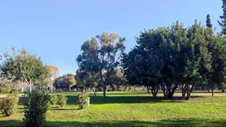 Τα δωρεάν της εβδομάδας | Urban πικνίκ στην Ακαδημία Πλάτωνος