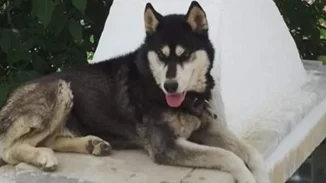 Αράχωβα - θάνατος Όλιβερ: "Ξέρουμε ποιος είναι''