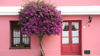 Κατάργηση φόρου γονικών παροχών από 1ης Οκτωβρίου | Πόσα γλιτώνουν οι γονείς στις μεταβιβάσεις- Αναλυτικά παραδείγματα