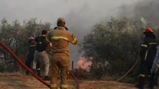 Μάχη με τις φλόγες σε Βοιωτία, Εύβοια, Καβάλα, Κύθνο - Οι εξελίξεις σε όλα τα μέτωπα