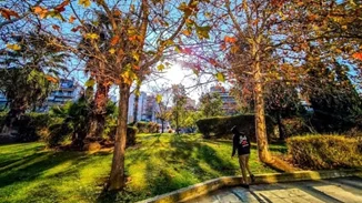 Καιρός | Σε υψηλά για την εποχή επίπεδα η θερμοκρασία - "Με αλκυονίδες ημέρες θα υποδεχτούμε τον Φλεβάρη"