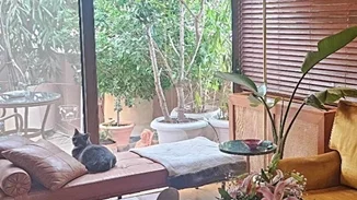 Κι όμως δεν είναι στο Μπαλί αλλά στην καρδιά της Αθήνας | Το εξωτικό διαμέρισμα της Νατάσας Μποφίλιου