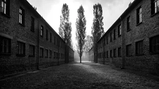 "Tehom": Η Ρενέ Ρεβάχ "αφηγείται" την απώλεια των μελών της οικογένειας της από τη Θεσσαλονίκη στο Άουσβιτς