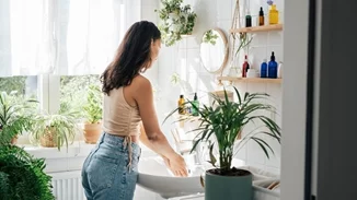 Αυτά είναι τα 7 φυτά που αντέχουν στο μπάνιο και την υγρασία