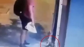 Αποκάλυψη | Διδάκτωρ του ΑΠΘ είναι ο άντρας που έλιωσε με το πόδι του το γατάκι στη Θεσσαλονίκη