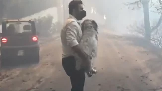 Συγκίνησε τους πάντες ο ρεπόρτερ του Star που έσωσε τραυματισμένο σκυλάκι από τις φλόγες