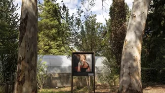 "Sheltered Gardens" | Ένα καταφύγιο τέχνης στον άγνωστο στους πολλούς Βοτανικό Κήπο Διομήδους μας βγάζει από τα περιοριστικά πλαίσια της ταυτότητας