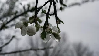 Καιρός | Βροχές και καταιγίδες σήμερα στο μεγαλύτερο μέρος της χώρας - Εως 23 βαθμούς ο υδράργυρος