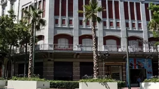 Απομακρύνονται οι φοίνικες από την Πανεπιστημίου - Θα μπουν πλατάνια στη θέση τους