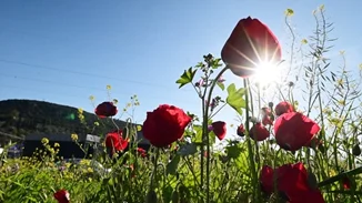 Μερομήνια 2025 | Πώς θα είναι ο καιρός το Πάσχα και την Πρωτομαγιά