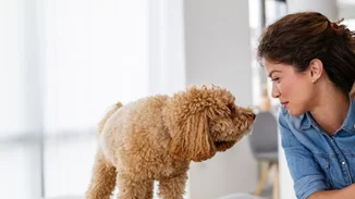 Νέος ένοικος στο σπίτι αλλά χωρίς ίχνη