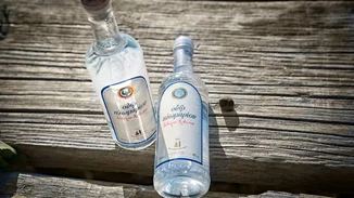 Ένας είναι ο συνοδοιπόρος μας γι΄ αυτή την Άνοιξη