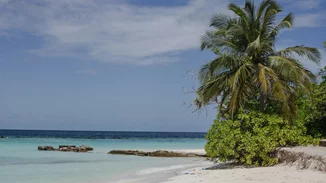 Αυτή είναι η εξωτική παραλία της Κρήτης, που θυμίζει Καραϊβική!