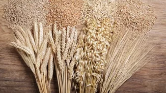 4 οφέλη που προσφέρει το κριθάρι | Plus βοηθά στο αδυνάτισμα