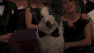 Όσκαρ 2024  Ο καλύτερος ηθοποιός του 2023 ήταν ξεκάθαρα ο Μessi και δικαίως προσκλήθηκε στα Oscar