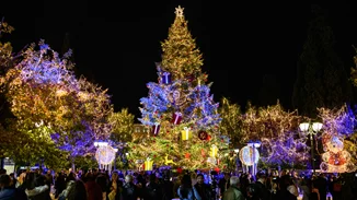 Η Αθήνα "πλημμύρισε" με φως και λάμψη στο κέντρο και στις γειτονιές | Φαντασμαγορική η φωταγώγηση του Χριστουγεννιάτικου Δέντρου στην Πλατεία Συντάγματος