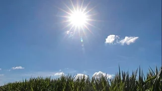 Με άνοδο της θερμοκρασίας μπαίνει ο Δεκέμβριος - Ανοιξιάτικος ο καιρός το Σαββατοκύριακο