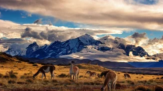 8 θαύματα της φύσης που πρέπει να δεις από κοντά στη ζωή σου