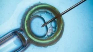 ΠΟΥ: Ένας στους έξι ανθρώπους παγκοσμίως εμφανίζει υπογονιμότητα