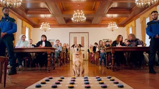 Ταινίες Πρώτης Προβολής | Ο Βrad Pitt στο βολάν κι ένας σκύλος στο εδώλιο του κατηγορούμενου