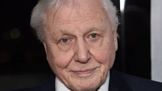 Ο σερ David Attenborough υποψήφιος για Νόμπελ Ειρήνης