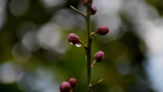 Καιρός: Τοπικές βροχές και καταιγίδες σήμερα - Πού θα είναι έντονα τα φαινόμενα