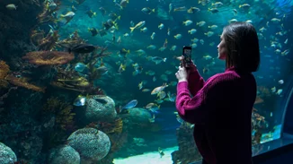 Για μια συναρπαστική κατάδυση… στο μοναδικό ενυδρείο της Αθήνας!