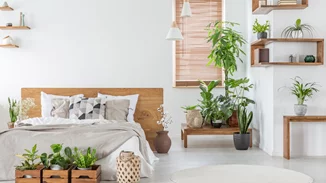 Δυσκολεύεσαι να κοιμηθείς; 5 φυτά που θα βοηθήσουν την ποιότητα του ύπνου σου