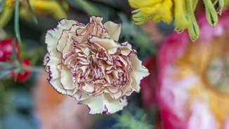 Εορτολόγιο | Ποιος γιορτάζει σήμερα Μεγάλη Παρασκευή