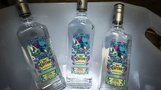 Η Jose Cuervo γιόρτασε την Ημέρα των Νεκρών με μια βραδιά γεμάτη χρώμα και μαγεία Μεξικού!