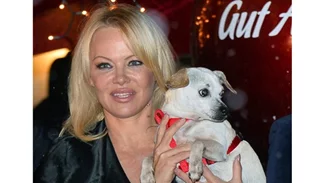 Pamela Anderson | Δηλώνει έτοιμη να κάνει άλλο ένα παιδί