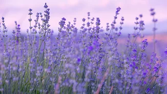 Εορτολόγιο | Ποιος γιορτάζει σήμερα Μεγάλη Πέμπτη