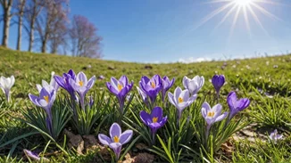 Εορτολόγιο | Ποιος γιορτάζει σήμερα Μεγάλη Τετάρτη