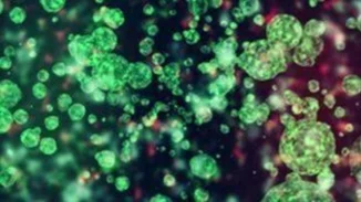 Τα σεξουαλικώς μεταδιδόμενα νοσήματα αυξάνονται ραγδαία στην Ευρώπη