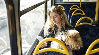 Στάση εργασίας σε ΜΜΜ την Πέμπτη 15 Ιουνίου | Χωρίς τρόλεϊ για 4 ώρες