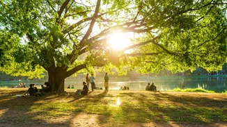 Δάση και χώροι πρασίνου μειώνουν τους κινδύνους για την υγεία