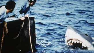 7 'κουλά' πράγματα για τα 'Σαγόνια του Καρχαρία' που έγιναν 50 ετών