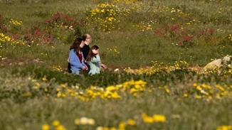Αίθριος ο καιρός σήμερα με άνοδο της θερμοκρασίας - Ερχεται ανοιξιάτικο Σαββατοκύριακο