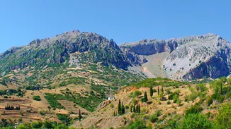 Κρανίου τόπος το δάσος της Δαδιάς - Συγκλονιστικές εικόνες από το πριν και το μετά της καταστροφικής πυρκαγιάς