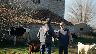 Μικρές Οικογενειακές Φάρμες: Η ομορφιά της φυσικής γεύσης